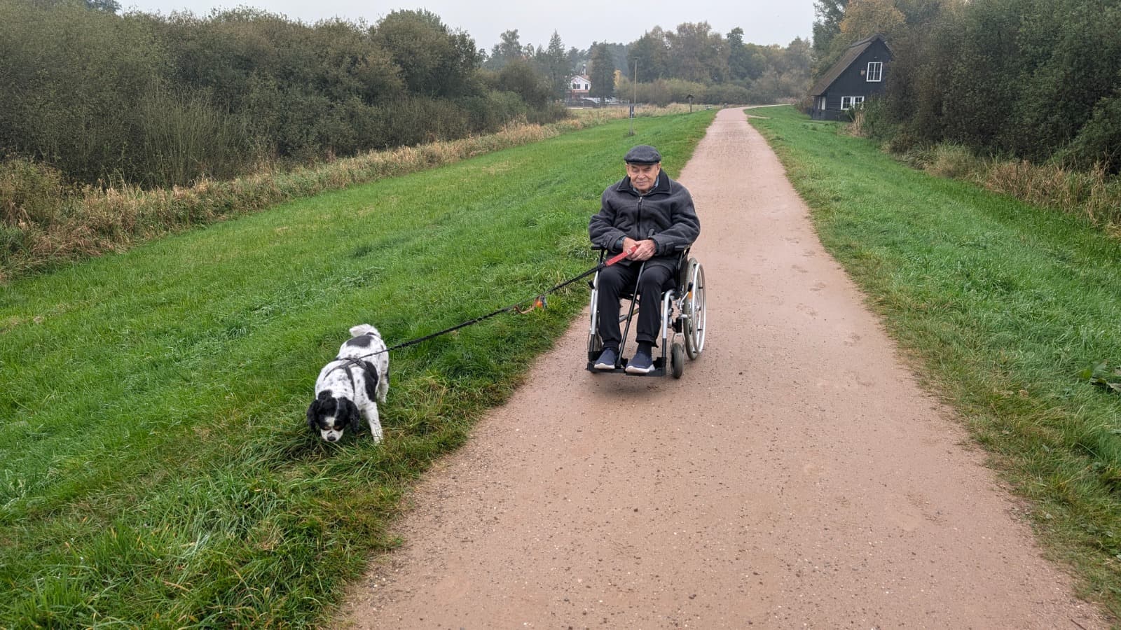 Spaziergang mit Hund